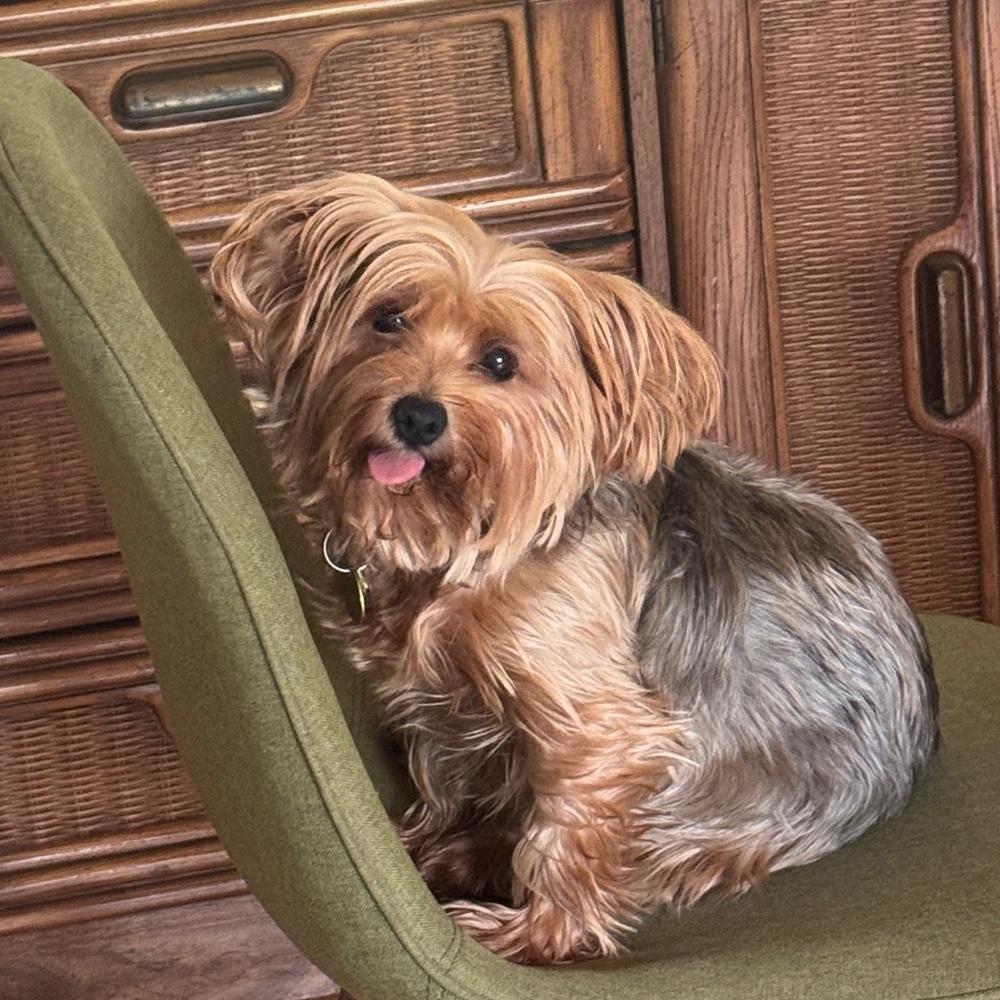 Meet your Posher, Trina